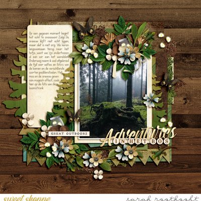 Adventures in het bos