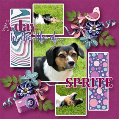 Sprite