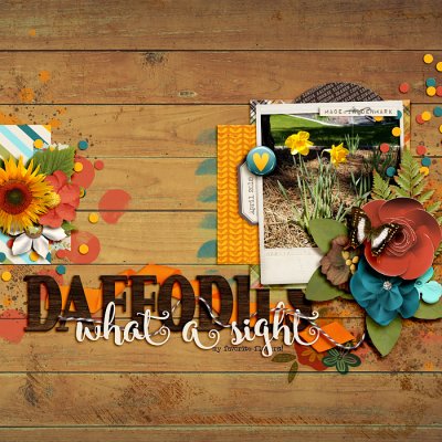 Daffodils