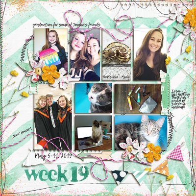 2019 week 19