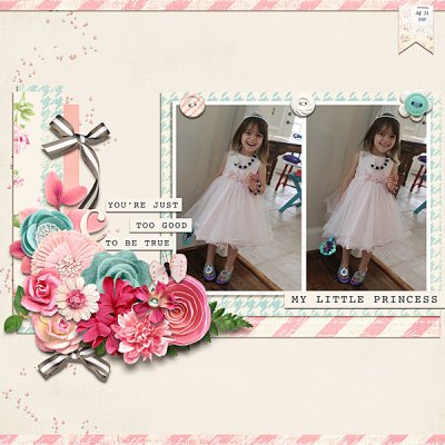 My Little Princess - Feb #4 Passport