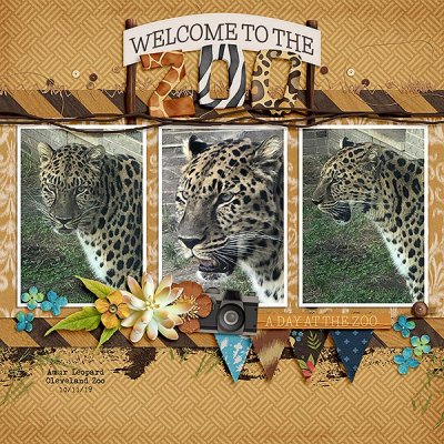 zoo