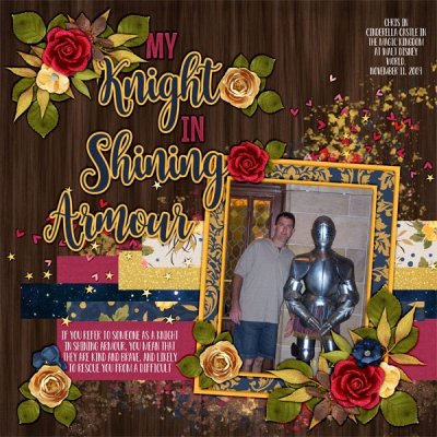 My Knight