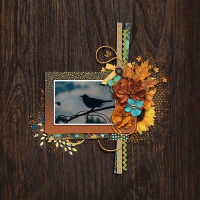 February 2020 Passport to Passion: 7-Photography: Silhouette
