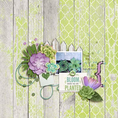 February 2020 Passport to Passion: 15 Colour