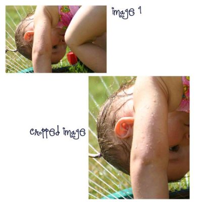 Cropped Photo