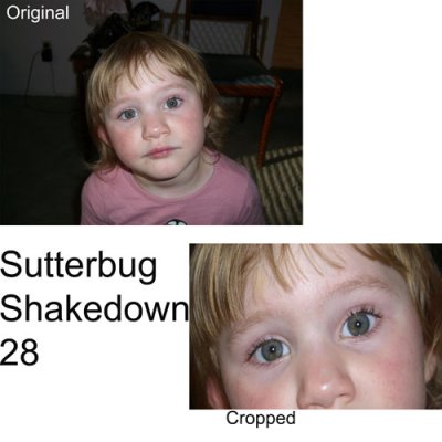 shutterbug-shakedown-28