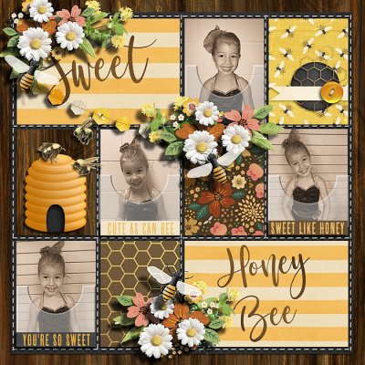 Sweet Honey Bee