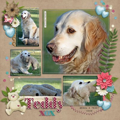 Teddy