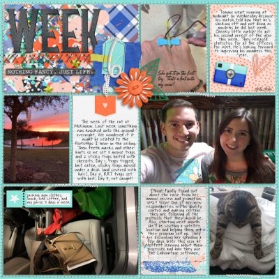 Week 6L 2020