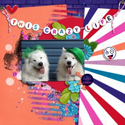 14th Birthday Instagram Slow Scrap