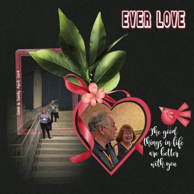 Ever Love