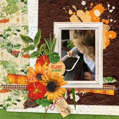 Instagram Slow Scrap Day 19 of 14th Birthday Celebration!