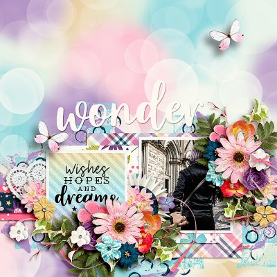 Wonder