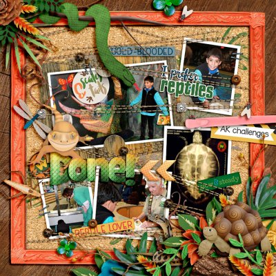 animal kingdom: reptiles