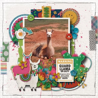 sept-2017-Llama