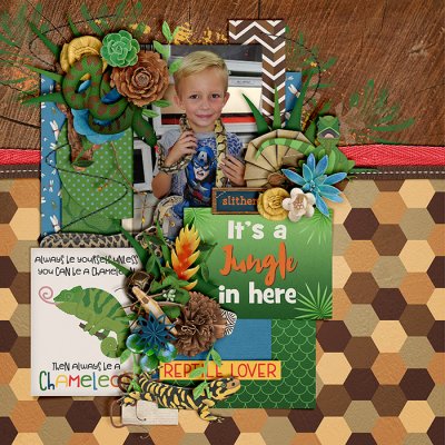 Reptile Lover
