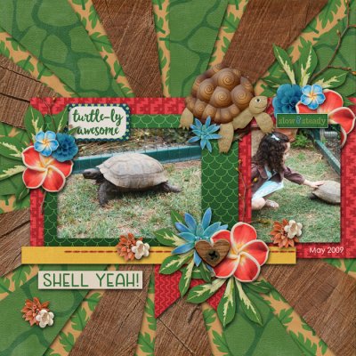 Turtle-ly Awesome