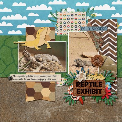 Reptile Exhibit