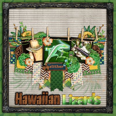 Hawaiian Lizards