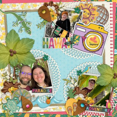 Hawaii 2020