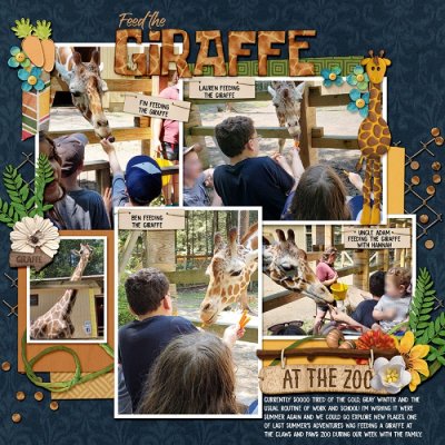 Feed the Giraffe