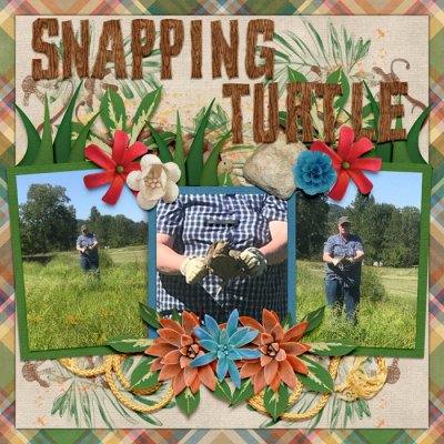 SnappingTurtle_2019
