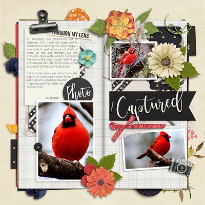 February 2020 Passport to Passion 2 Product: Templates
