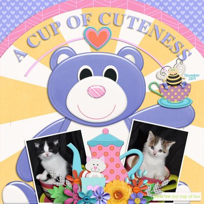 a cup of cuteness