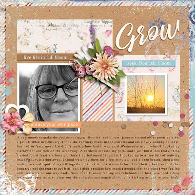 March 2020 Passport to Discovery: 1 OLW-Insight
