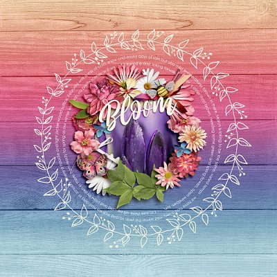 March 2020 Passport to Discovery: 17 Details: Shape