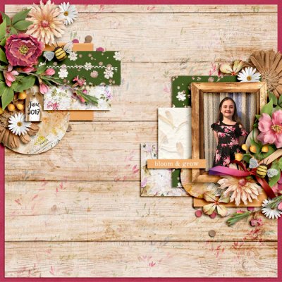Bloom