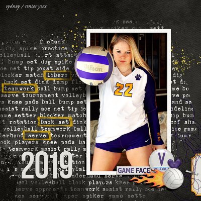Volleyball