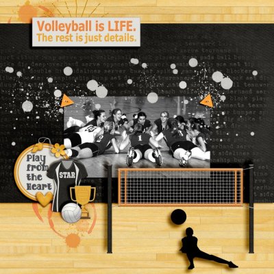 Volleyball is Life