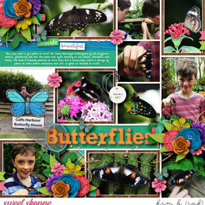 Butterflies