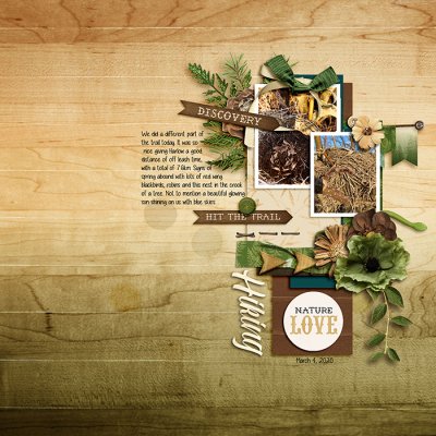 March 2020 Passport to Discovery: 7 Photography-Perspective