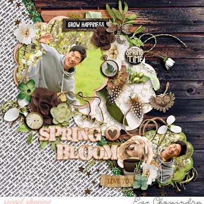 spring bloom
