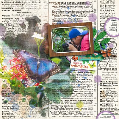 Girl Meets Butterfly
