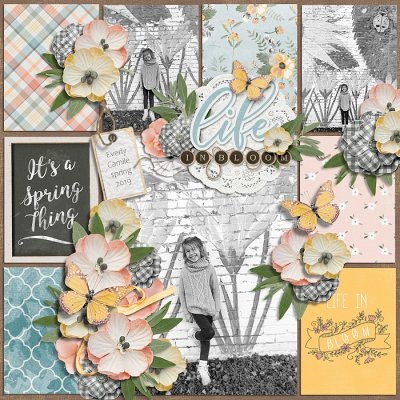 Life in bloom
