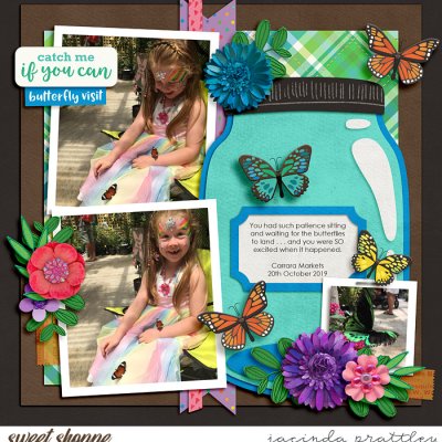 Butterfly visit