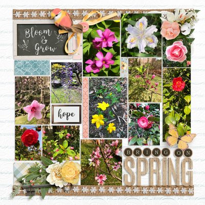 Bring On Spring