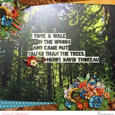 The Woods