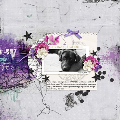 March 2020 Passport to Discovery: 15 Colour