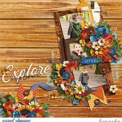 explore