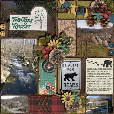Treetops Resort