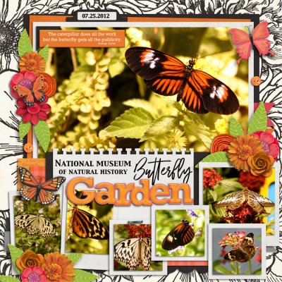 Butterfly Garden