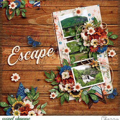 Escape