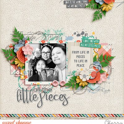 All The Little Pieces