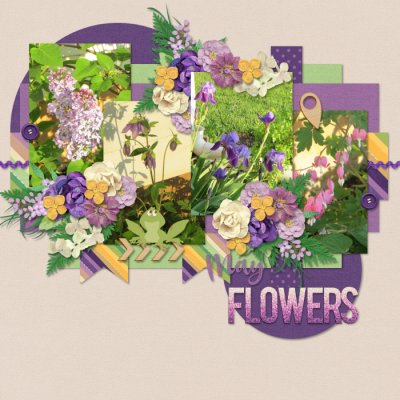 May Flowers