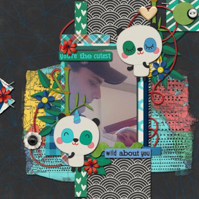 panda1